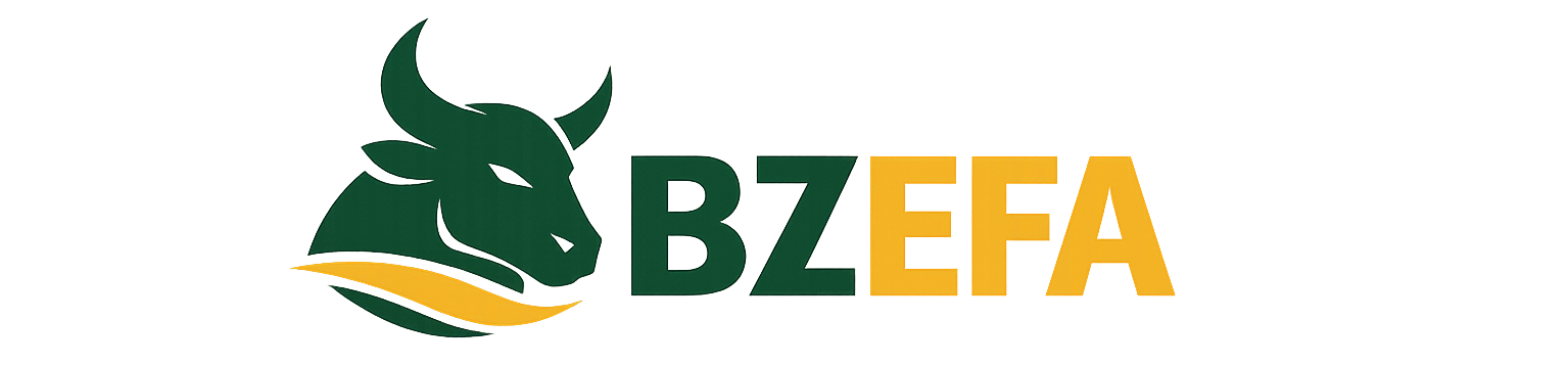 bzefa.com